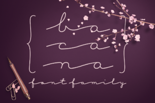 Boost Your Campaign with Bacana: A Swashy Display Font